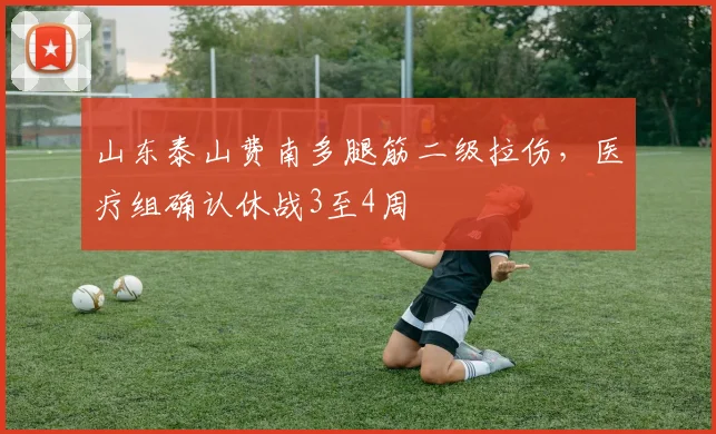山东泰山费南多腿筋二级拉伤，医疗组确认休战3至4周